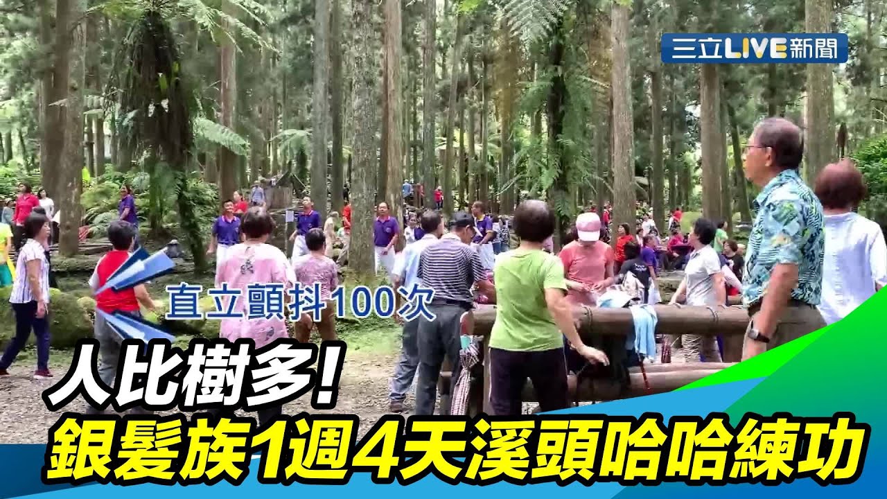 人比樹多！銀髮族1週4天溪頭「哈哈練功」｜三立新聞台