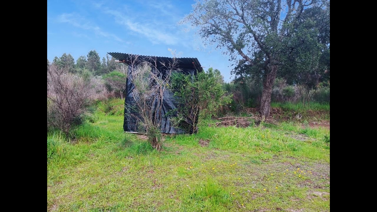 A piece of paradise in Central Portugal for less than 20.000€