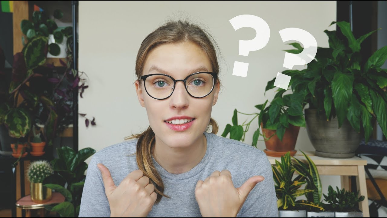 Czy rośliny antysmogowe działają?