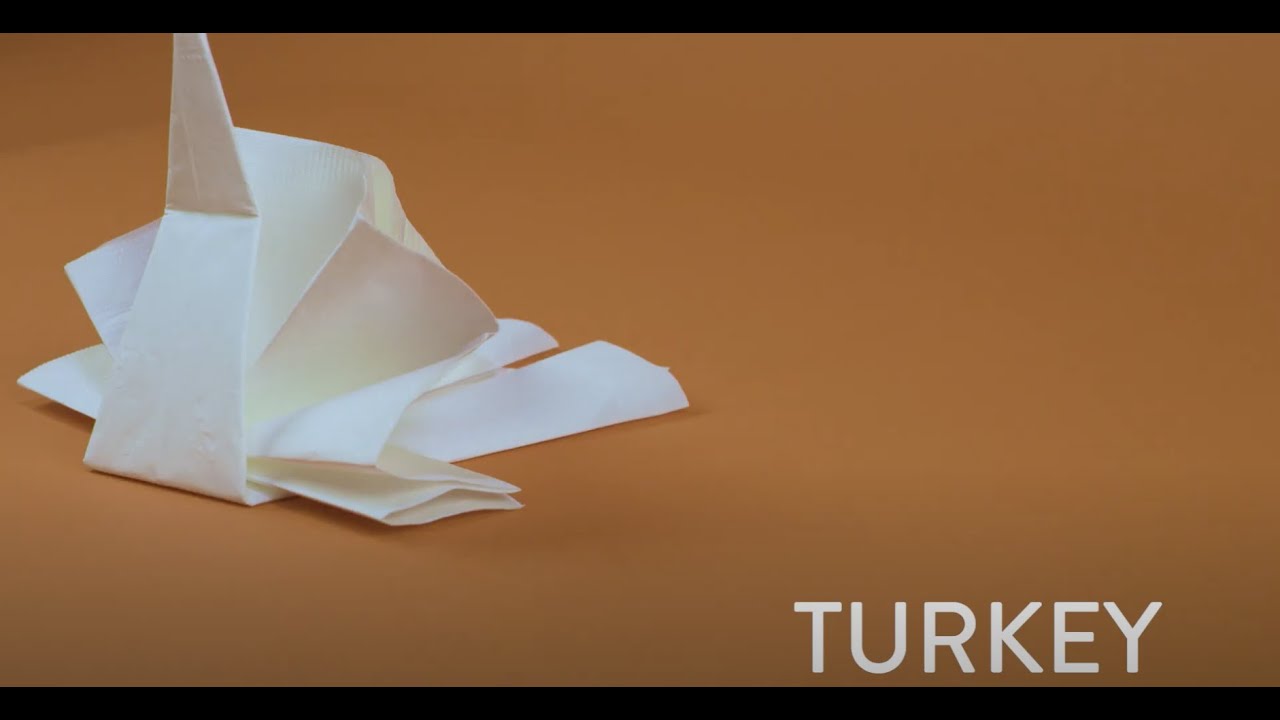 Turkey Napkin Fold