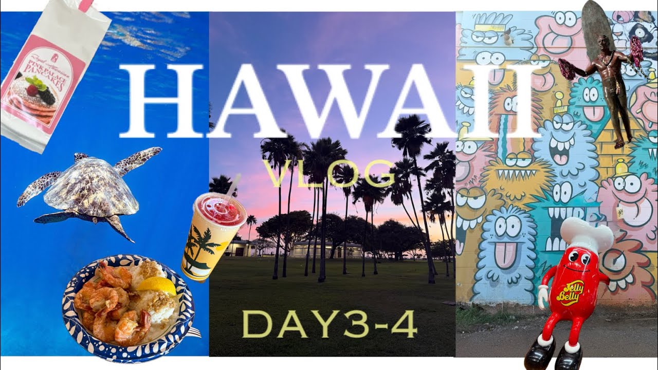 【ハワイVlog】3泊5日🏝️ DAY3-4🌺初めてのハワイ女子旅💖イルカ&ホヌと泳ぐカカアコDAY🐬🐢