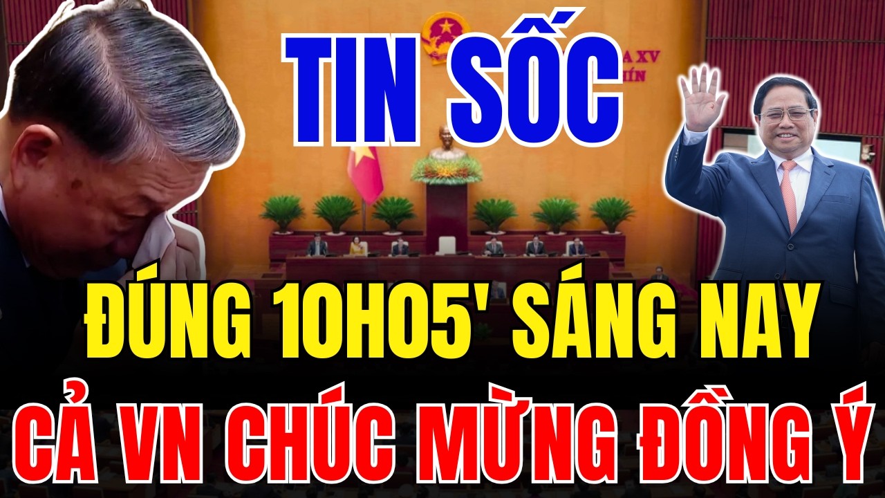 Tin tức việt nam thời sự mới nhất ngày 12/3/2026 ✈ Tin Nóng Chính Trị Việt Nam và Thế Giới