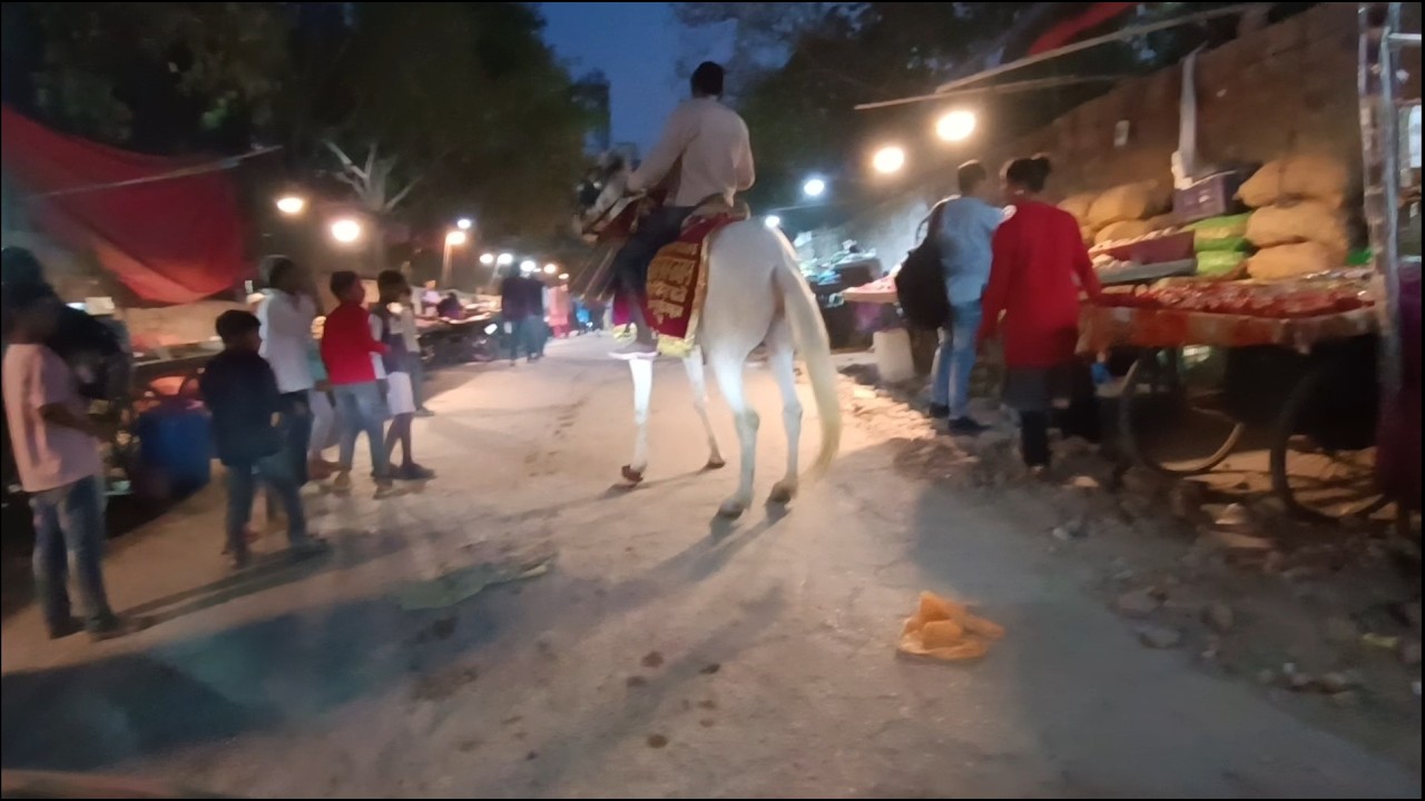 Shadi ka Ghoda Daar gya😱 in market #vlogs #mahashivratri2026