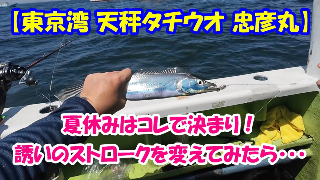 【東京湾 天秤タチウオ】今年は当たり年？夏休みはタチウオにGo！誘いのストロークを変えてみたら・・・