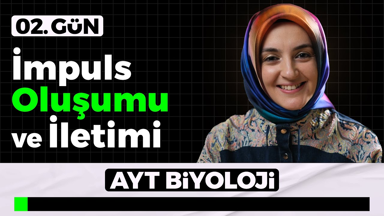 2) İmpuls Oluşumu ve İletimi | 11. Sınıf Biyoloji | 2026 AYT Biyoloji Kampı 2. G&uuml;n