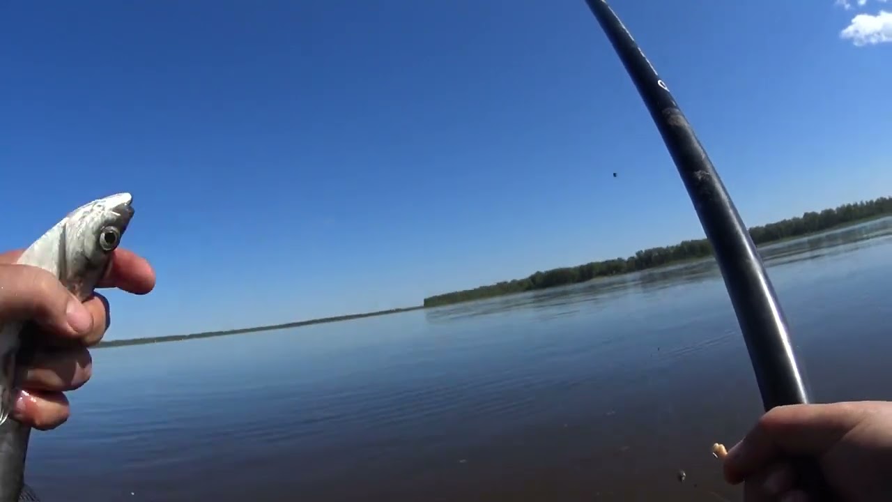 Рыбалка на поплавок, с братом, река Кама.