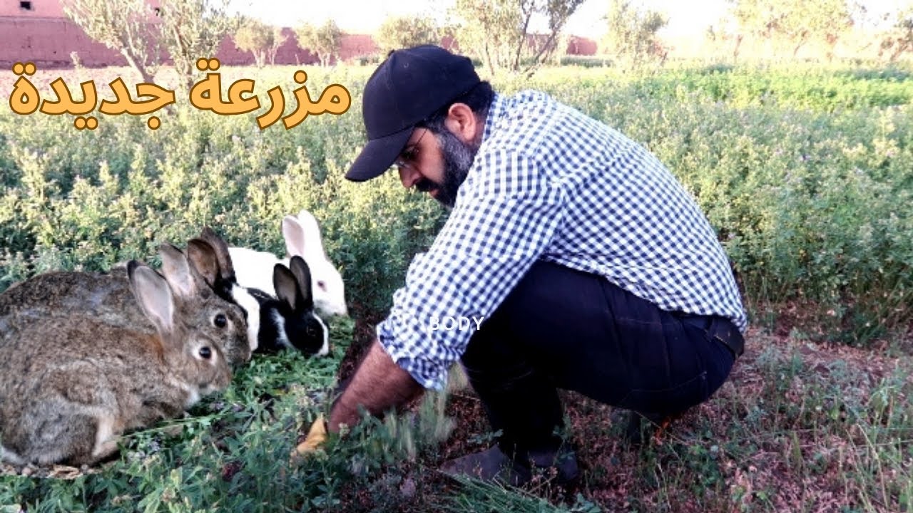 عودتي إلى مزاولة الزراعة بعد غياب طويل