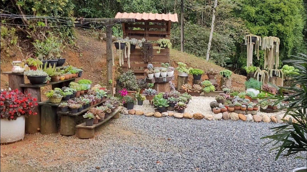 Jardim de inverno #Suculentas #jardimdesuculentas