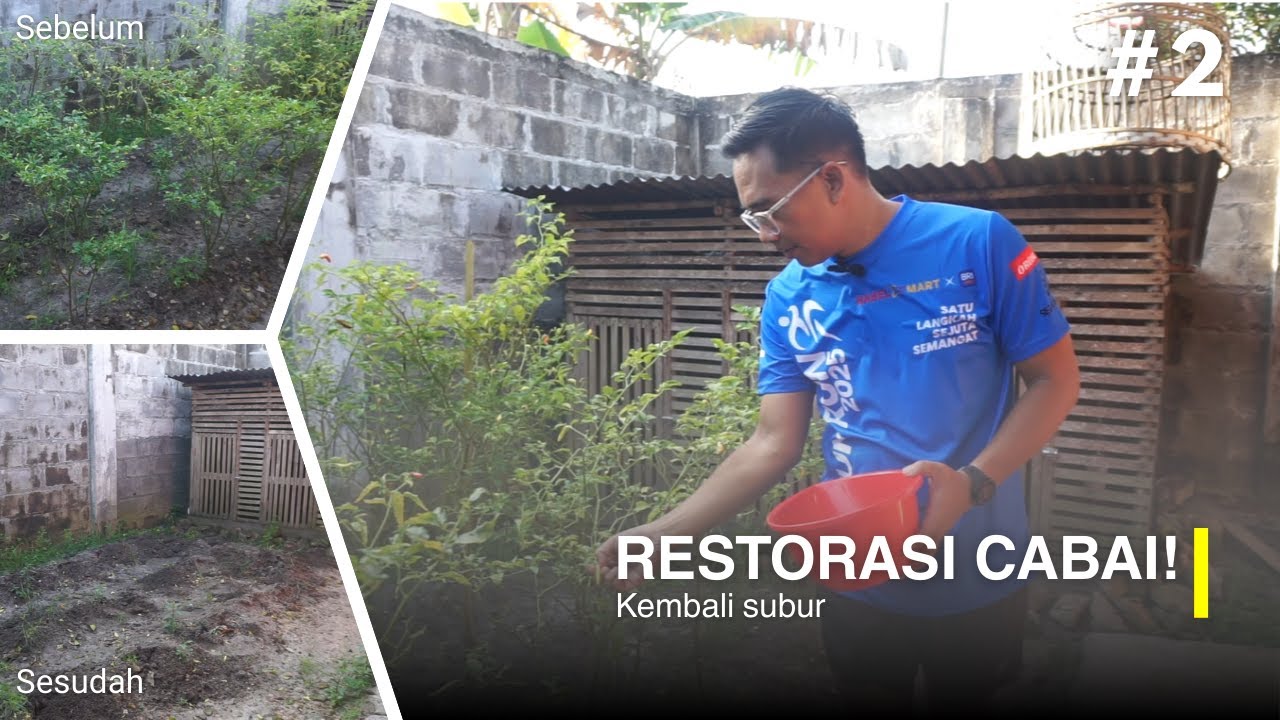 Episode 2: Cabai Terlalu Banyak, Saatnya Dikurangi