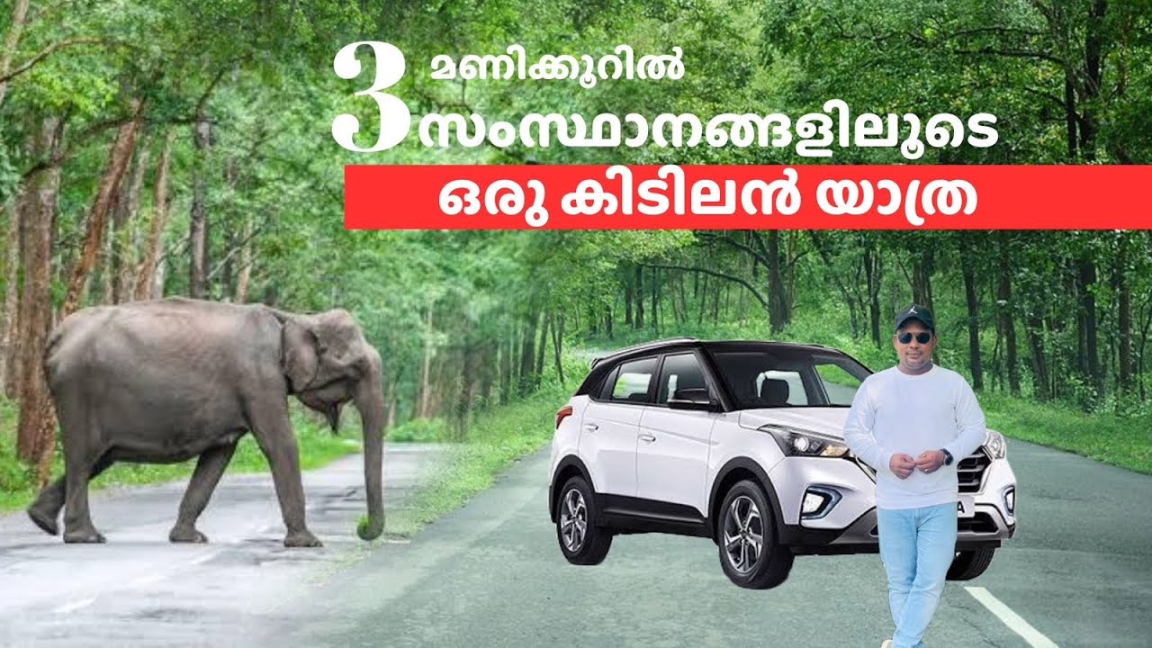 കാട്ടിനുള്ളിലൂടെ ഒരു സൗജന്യ യാത്ര പോയാലോ | Muthanga Gundlupet Bandipur Mudumalai |