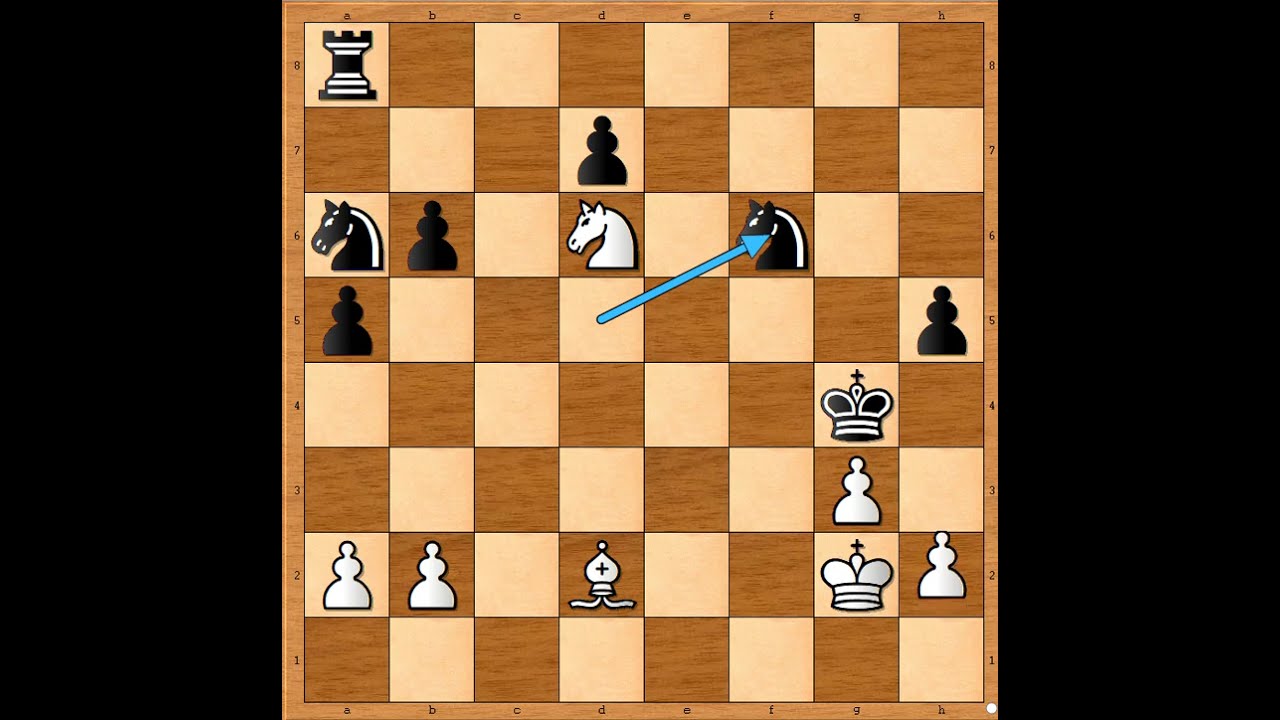 Opasnost i snaga Lovačkog para 🔻🔺️🔻🔺️🔻  LAMI vs PAEHTZ #3477