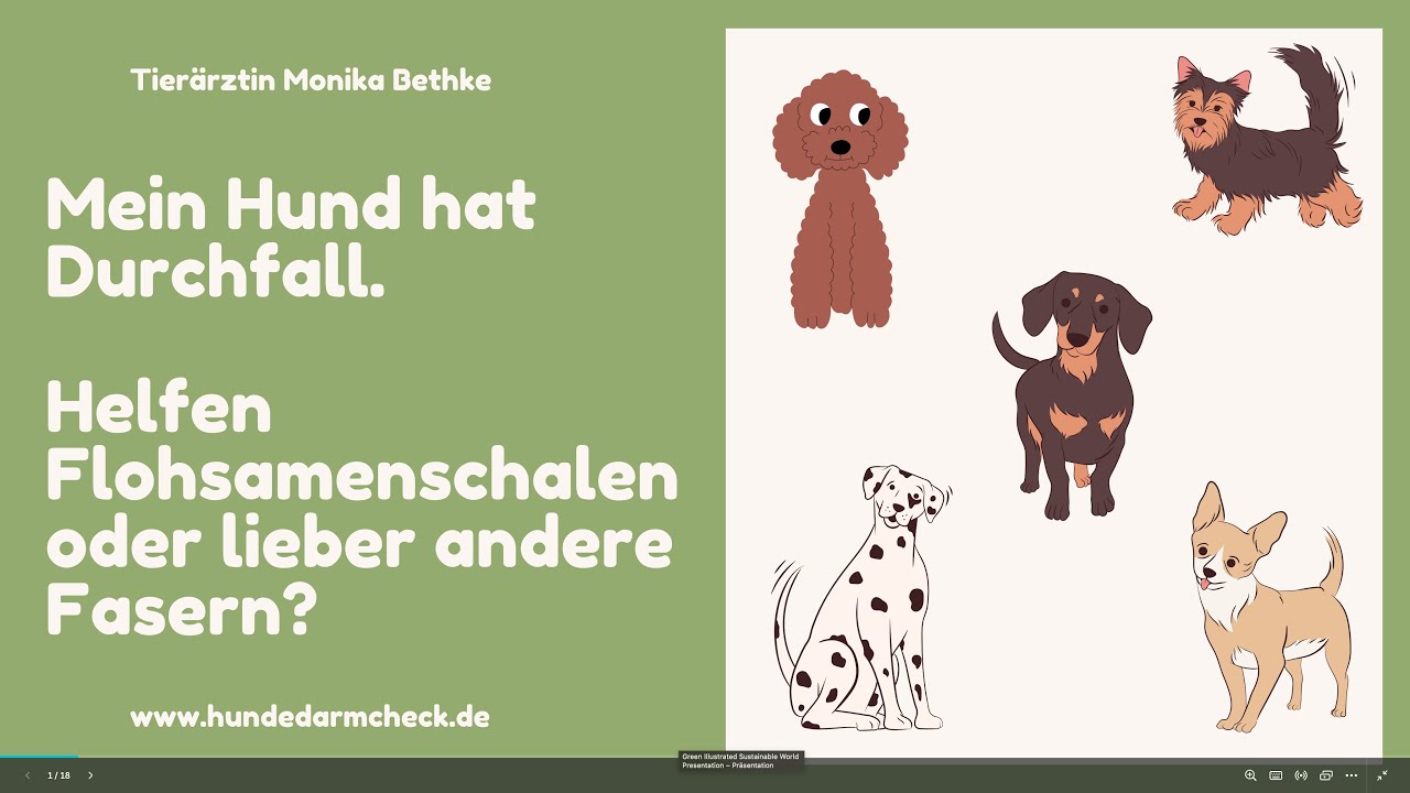 Flohsamenschalen - immer die beste Lösung?