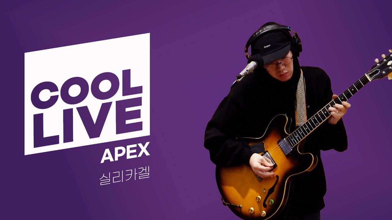 쿨룩 LIVE ▷ 실리카겔 'APEX' / [데이식스의 키스 더 라디오] | KBS 231229 방송