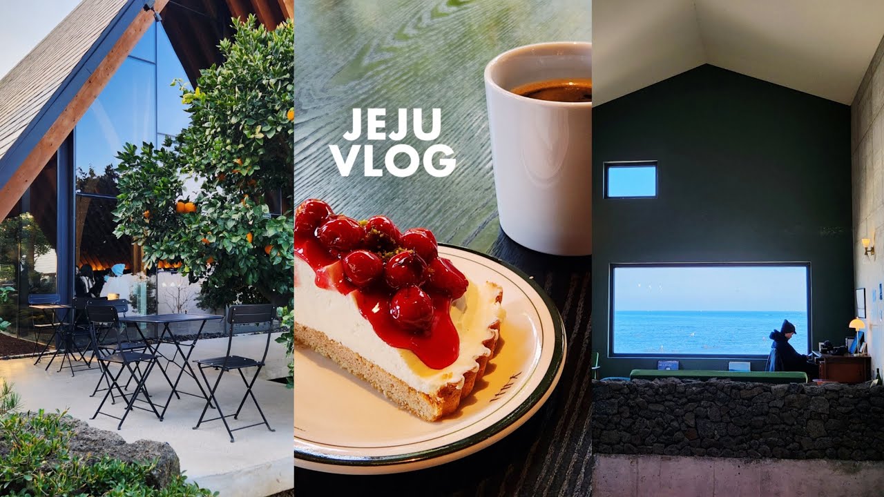Vlog. 나홀로 제주 감성여행 | #바다뷰카페 #감귤뷰카페 #풍력발전뷰(?) 카페 | 사케에 취하고 음악에 또 취하는 밤 | 요즘 대세 짜이 카페 | 멜튀김 x 장대국
