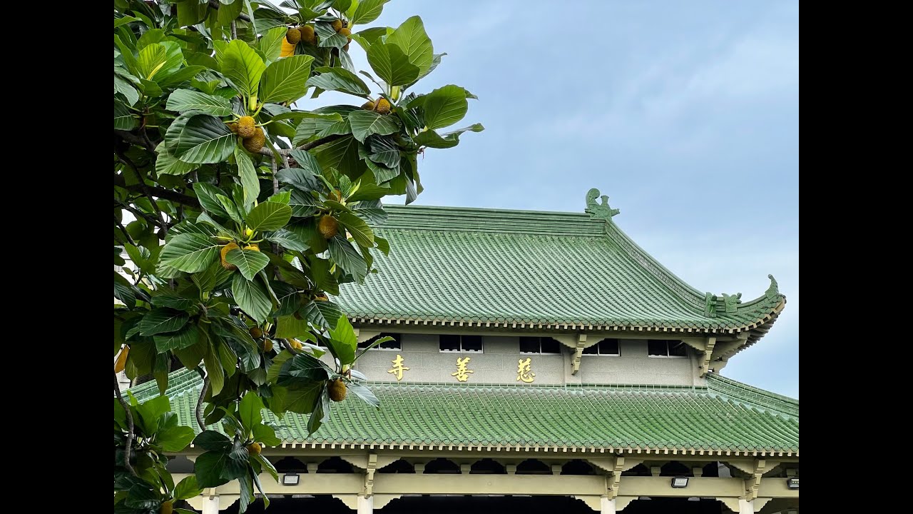 花蓮慈善寺 111𡈼寅年 相片集錦(上)