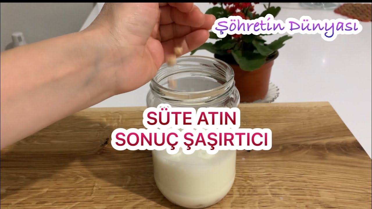 TATLI YOĞURT YAPMAK İÇİN SÜTE ATIN BEKLEYİN SONUÇ ÇOK ŞAŞIRTICI #asmrwhisper #asmr #yoğurt