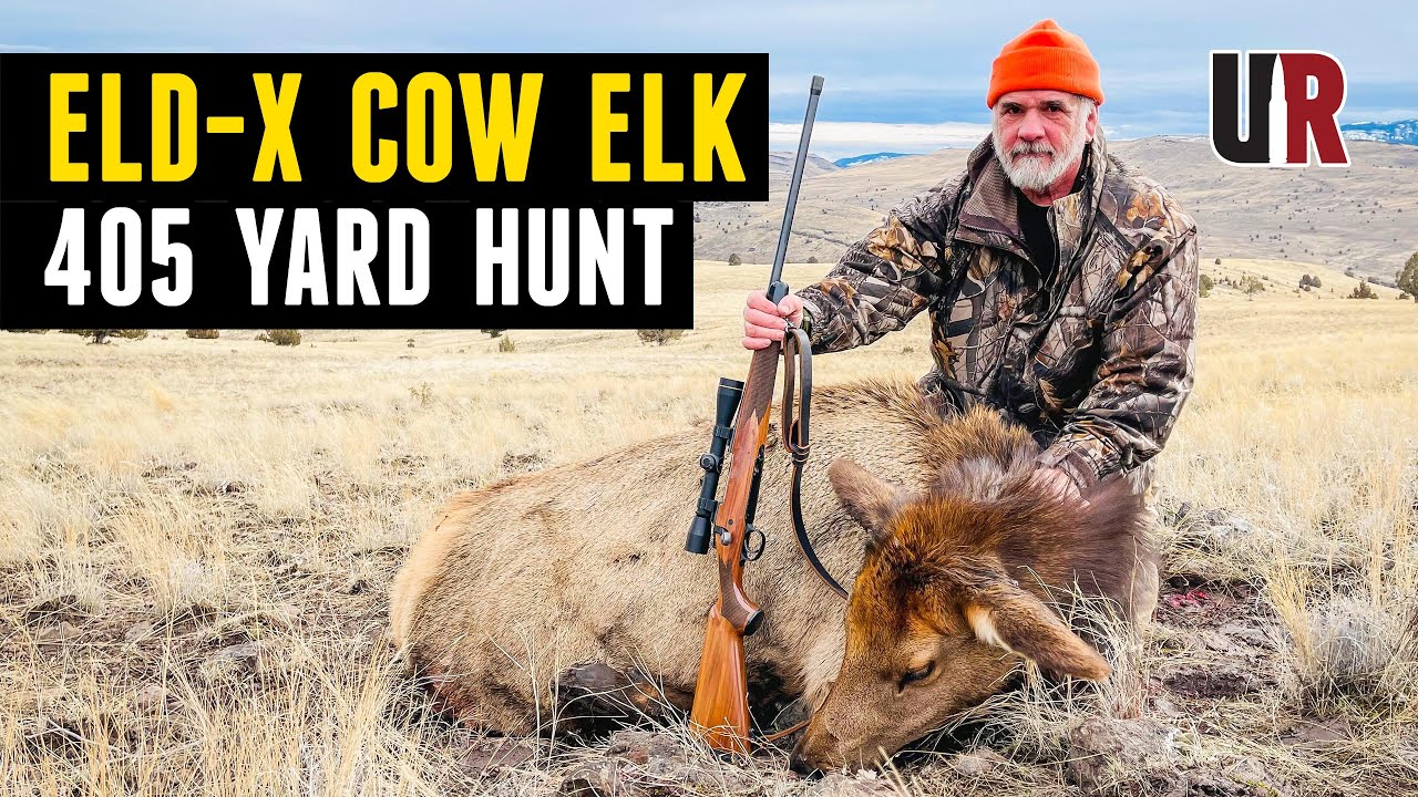 Success: Hornady 178gr ELD-X on Elk at 405 yards (30-06)