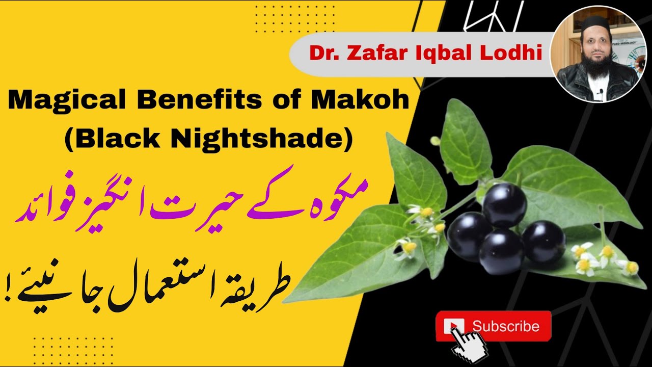 Makoh Useful Benefits for Health | Dr. Zafar Iqbal Lodhi