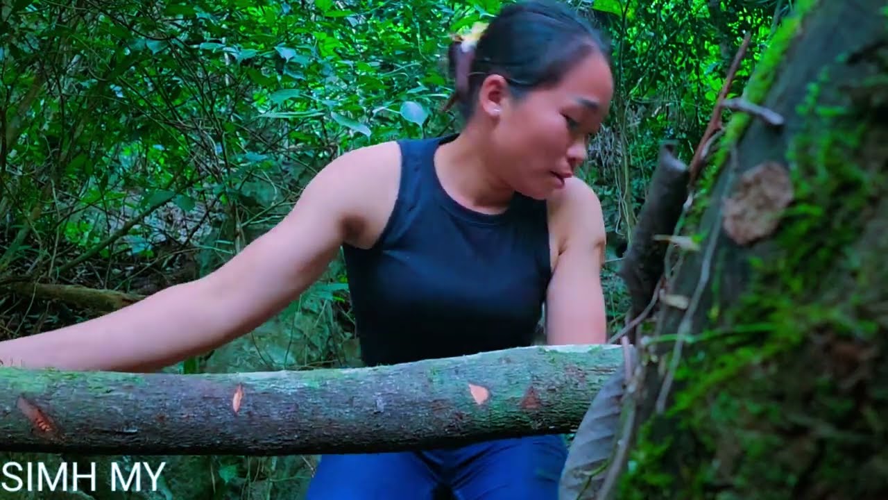 I built a shelter on the trunk of a 100-year-old tree. Survival, bushcraft and living off- grid
