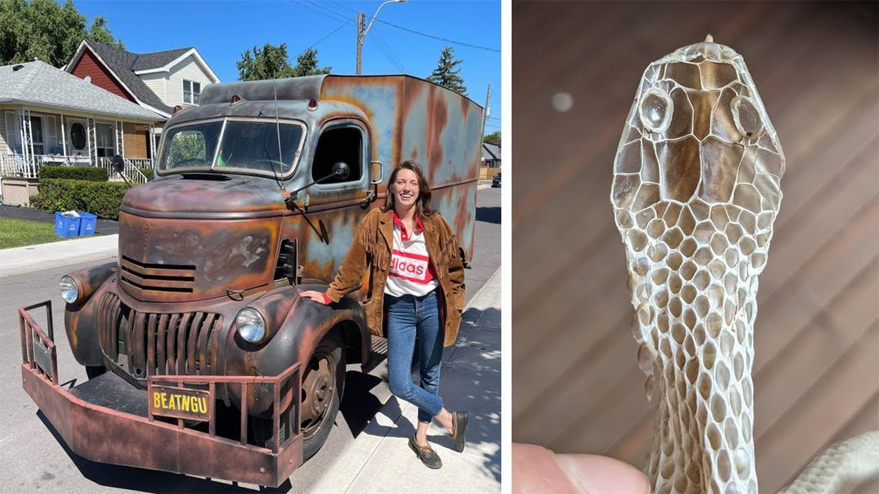 Photos That Prove the Universe Has Its Own Plan for Each of Us