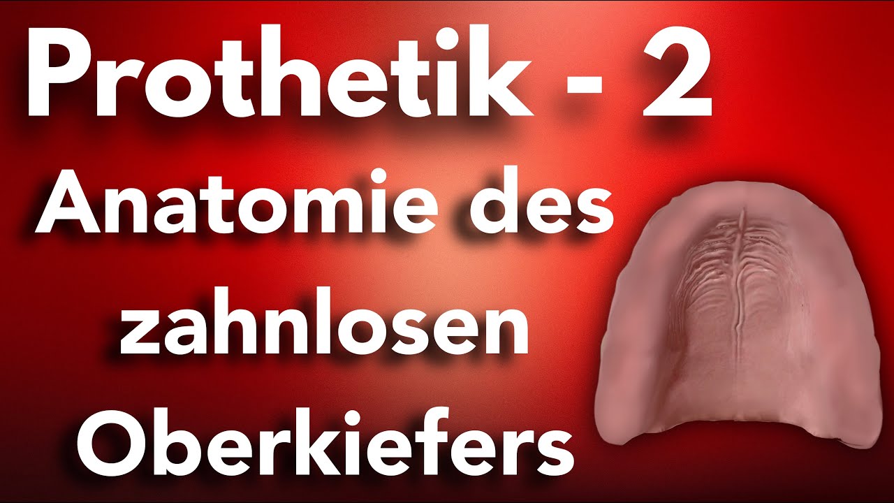 Prothetik 2 - Anatomie des zahnlosen Oberkiefers