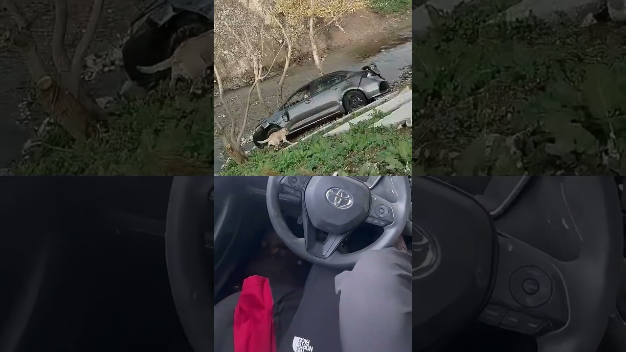BAK-Kadıköy Kentsel Arama Kurtarma Takımının yeni üyesi Lykya