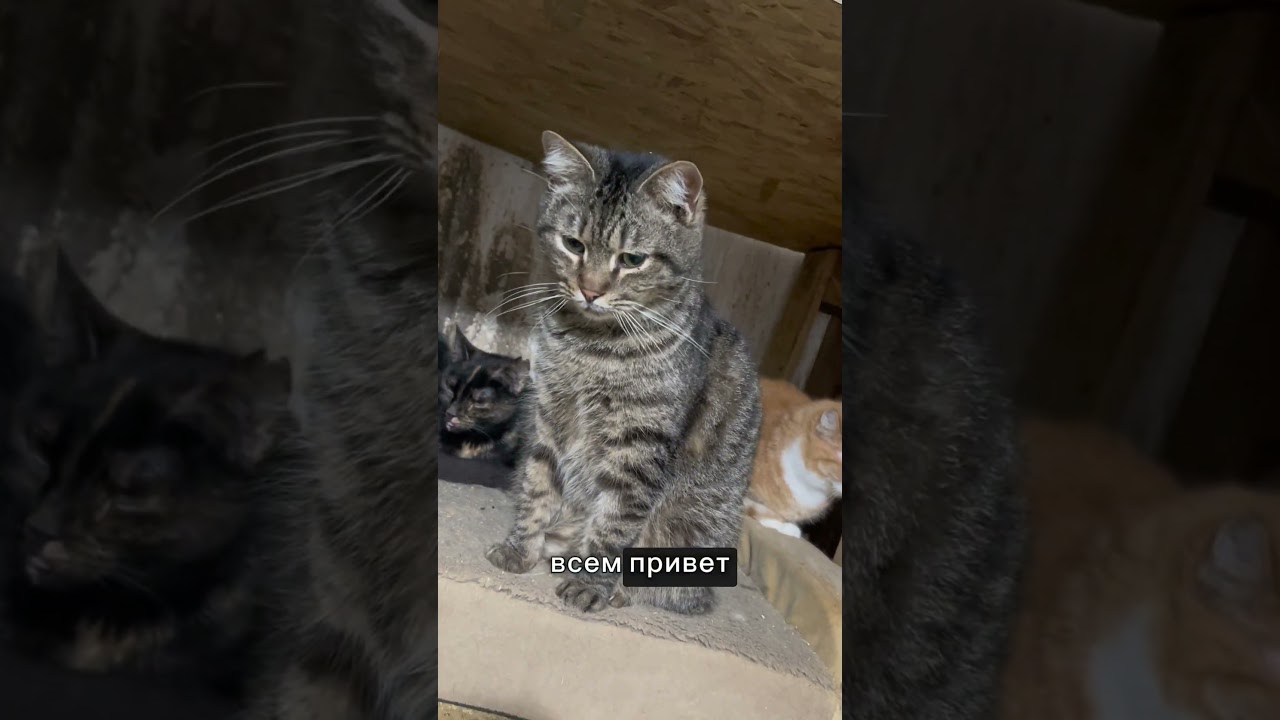Мощная группа ХА