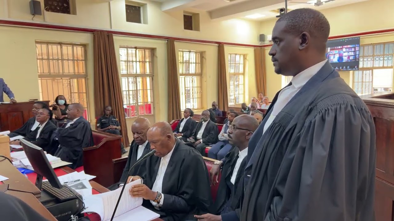 PW25 as a new witness in the Katanga case
