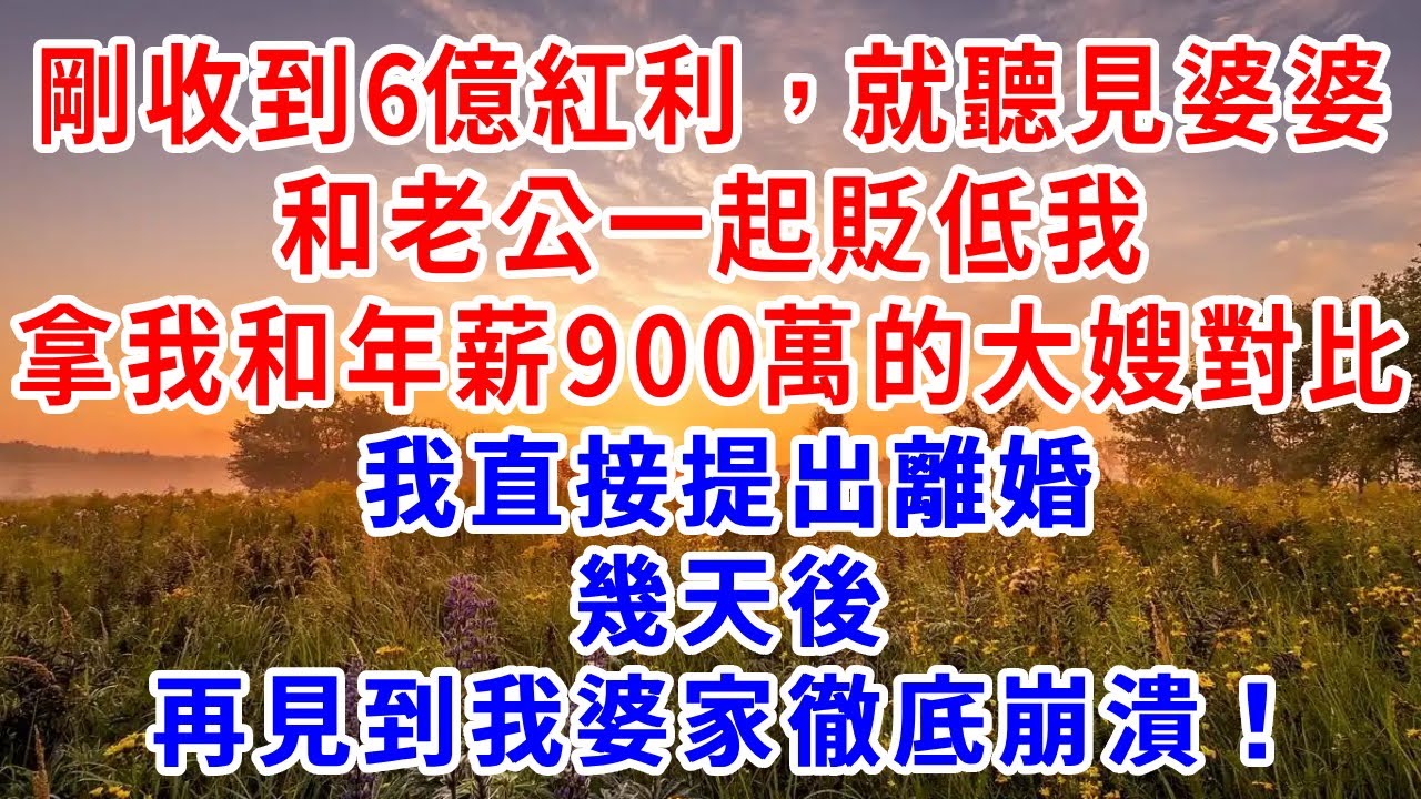 剛收到6億紅利，就聽見婆婆和老公一起貶低我，拿我和年薪900萬的大嫂對比。我直接提出離婚，幾天後再見到我婆家徹底崩潰！