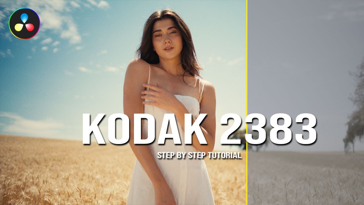 Use This Kodak 2383 Film Look to Instantly Upgrade Your Filmmaking