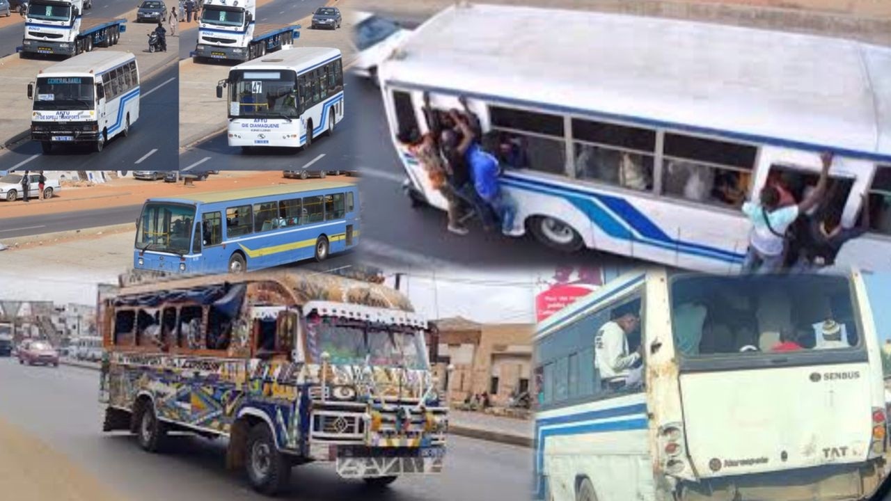 🔸️L'indiscipline sur les routes ; Cause principale des accidents routiers ?  Fatima NIANG 