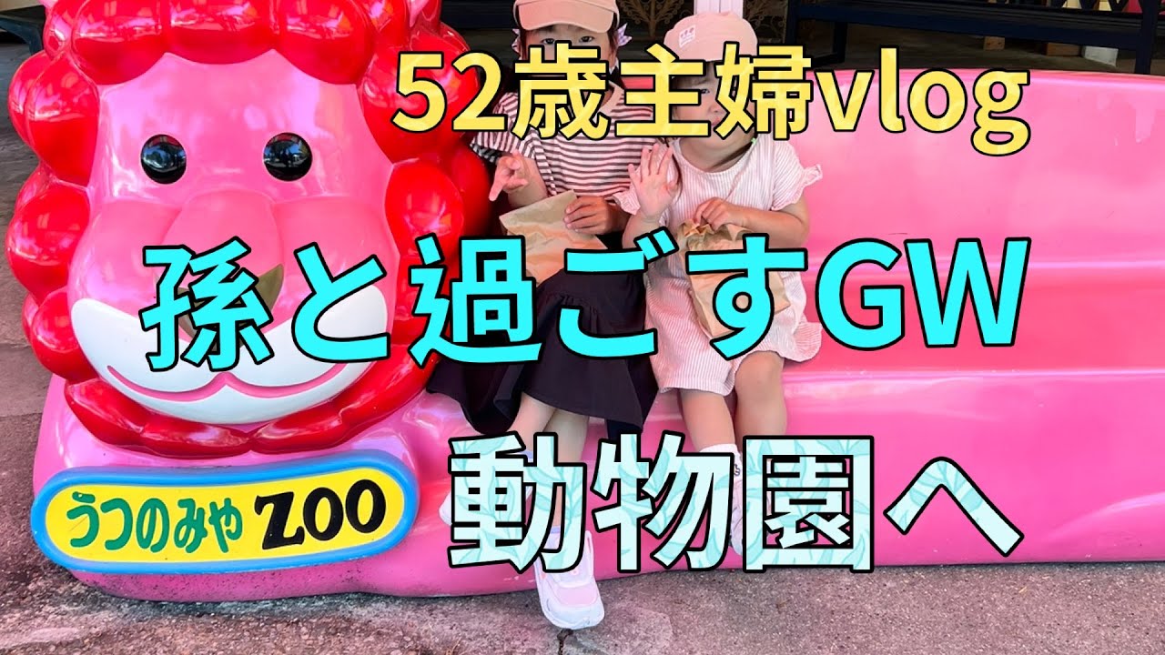 【主婦vlog】孫と過ごすGW  動物園へレッツゴー😊