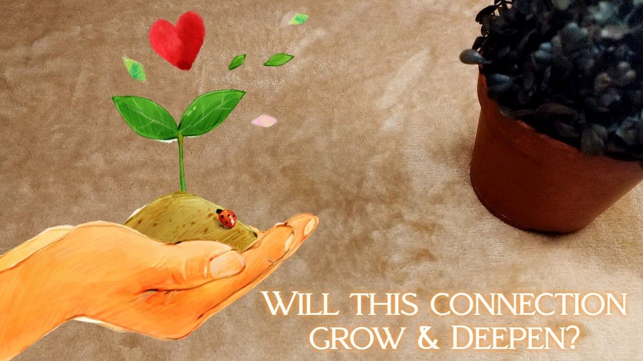 🌳🌱💕Will this connection grow or deepen💕🌱🌳 Pick A Card reading