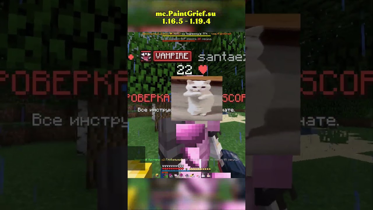 IP: mc.PaintGrief.su  #shorts #short #minecraft #reallyworld #рилик #майнкрафт