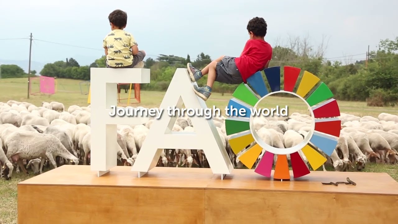 Introducing the Food and Agriculture Museum and Network