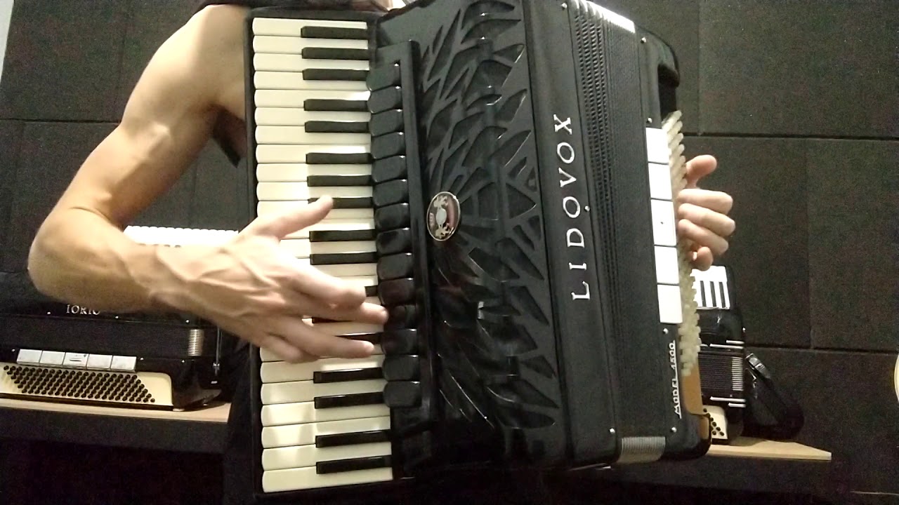 Acordeon LIDOVOX 4&deg; Oitavada ( VENDIDA )