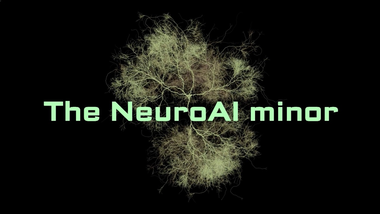 NeuroAI Minor - How Biological Brains Compute