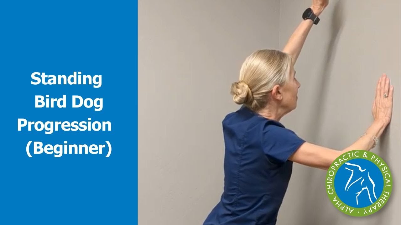 Standing Bird Dog Progression (Beginner)