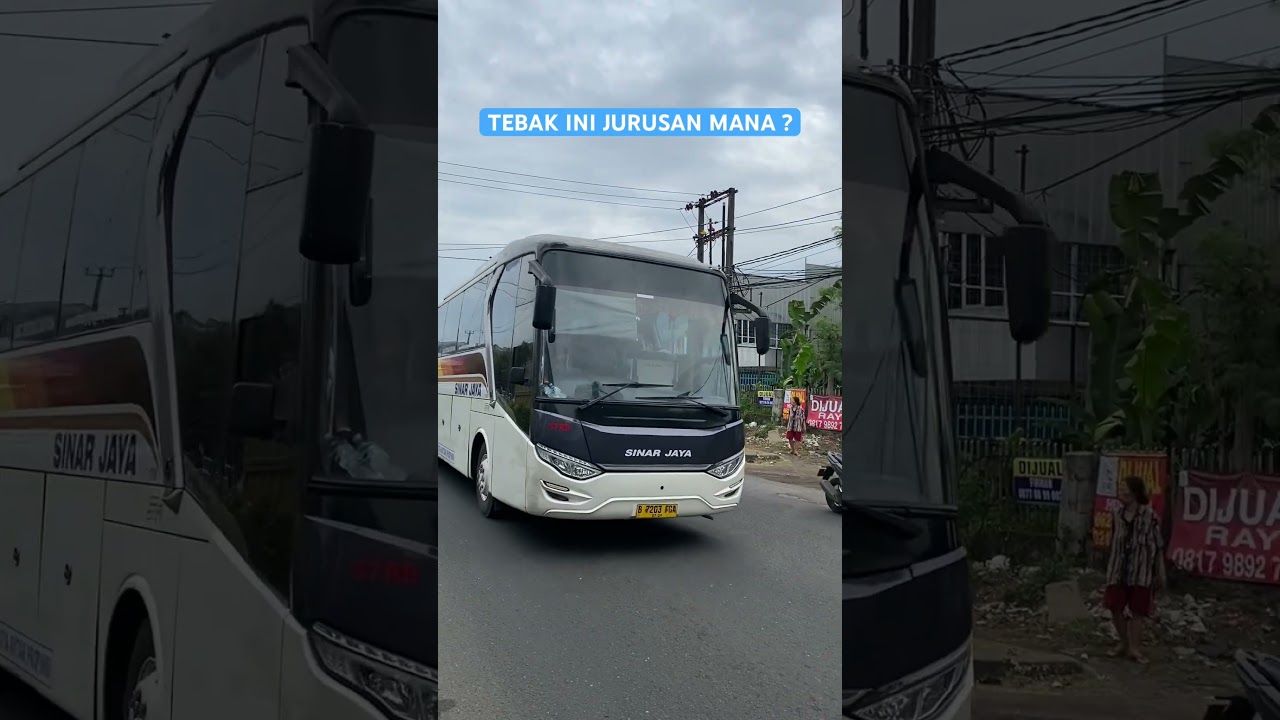 BUS SINAR JAYA LEGACY SR1 HINO RK #shorts #trending #youtubeshorts