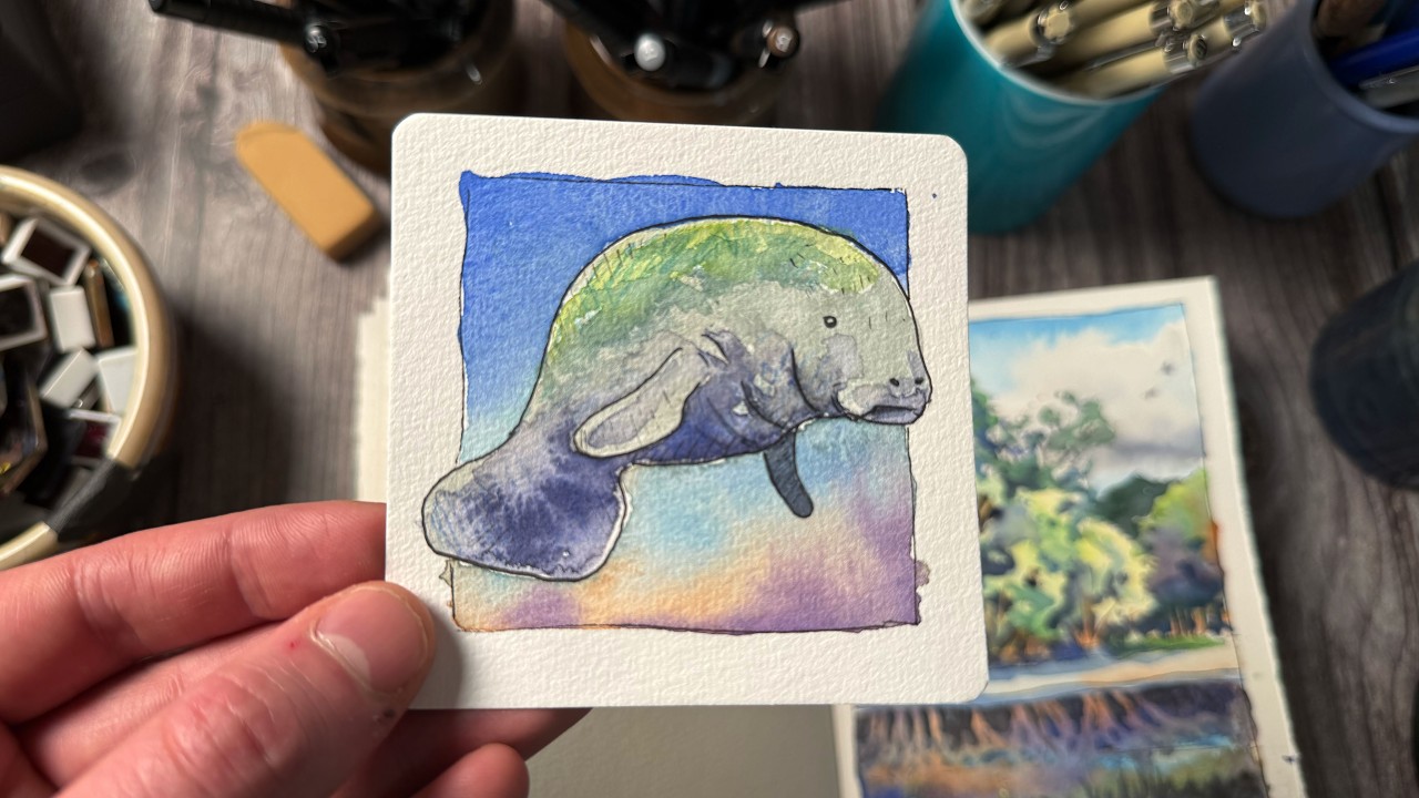 Manatee | Backyard Animals Watercolor Series