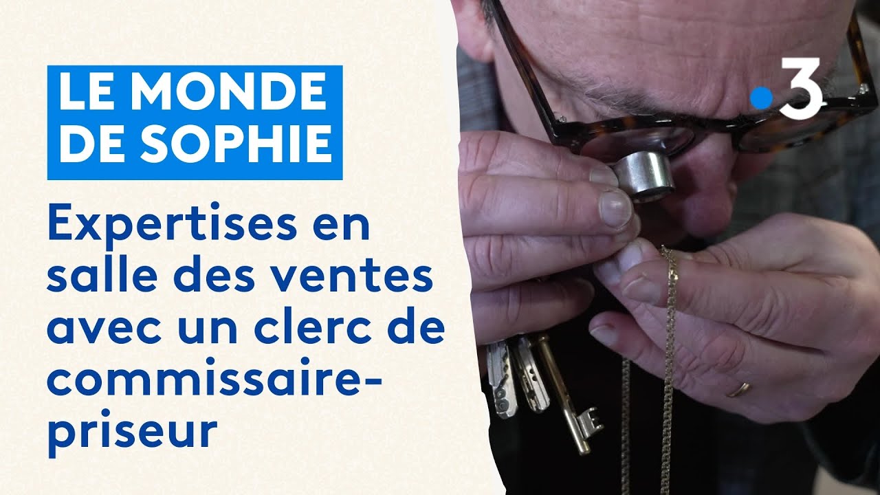 Le monde de Sophie : expertises en salle des ventes avec un clerc de commissaire-priseur