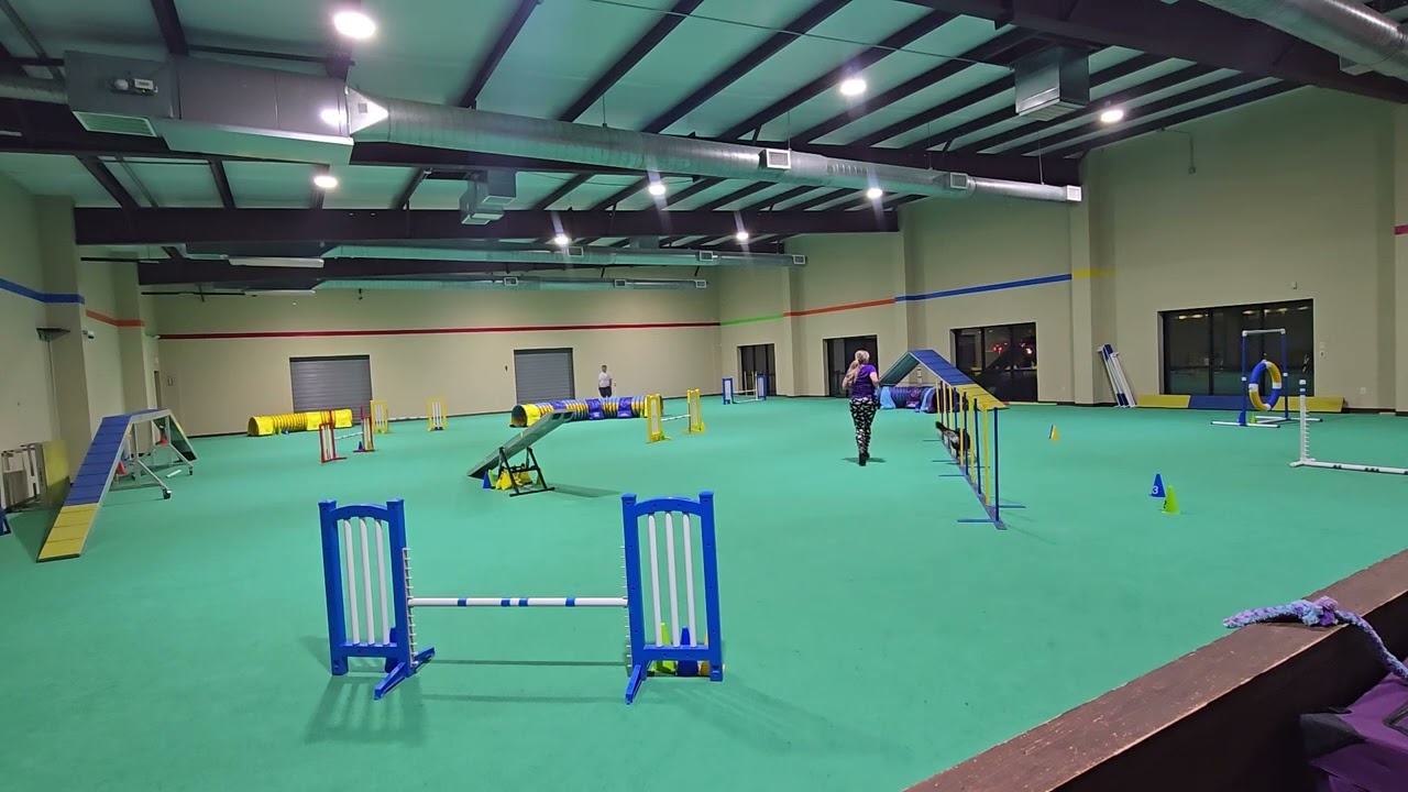 Nessie training runs 2-19-26