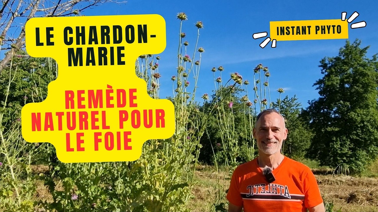 Chardon Marie
