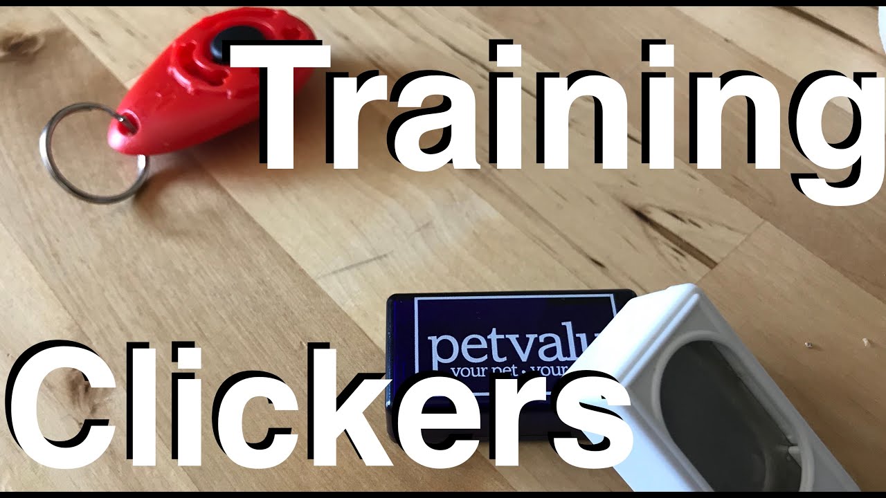Training Clickers | Topics
