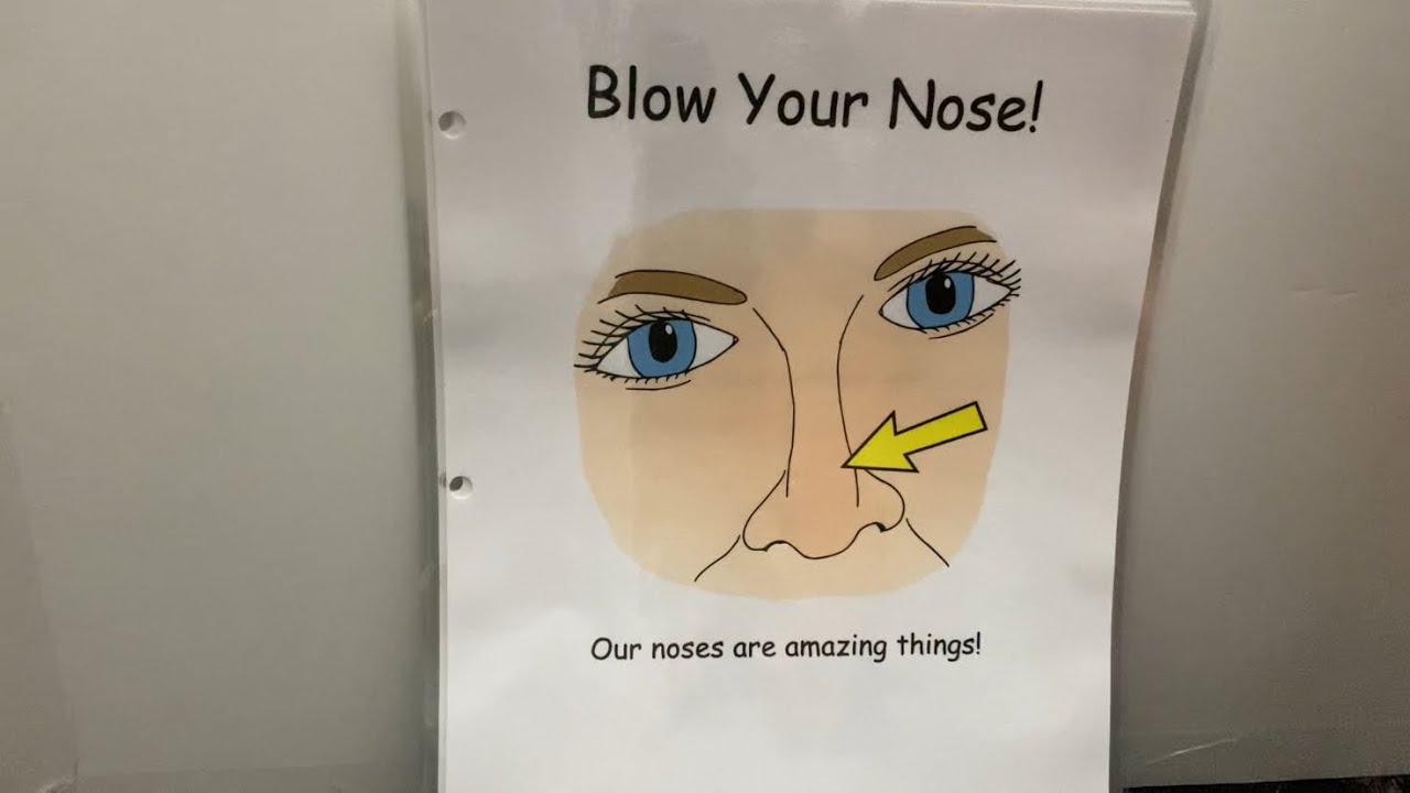 Blow Your Nose!