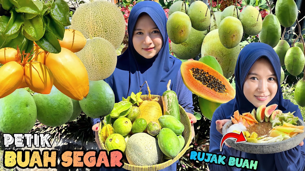 Petik buah-buahan segar | Rujak buah gula aren