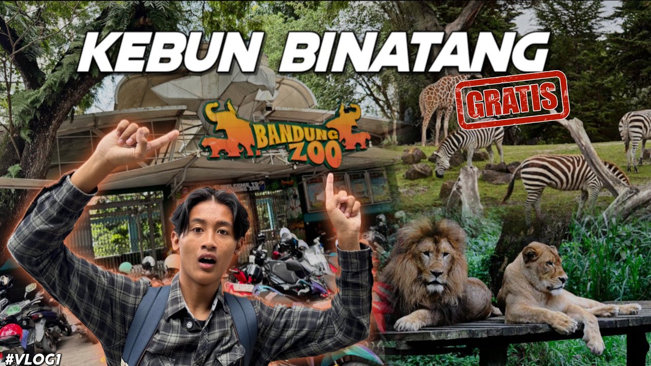 Vlog1 YANG LAGI RAME DI BANDUNG || MAIN KE KEBUN BINATANG GRATIS‼️TAPI KOK GINI YA😢