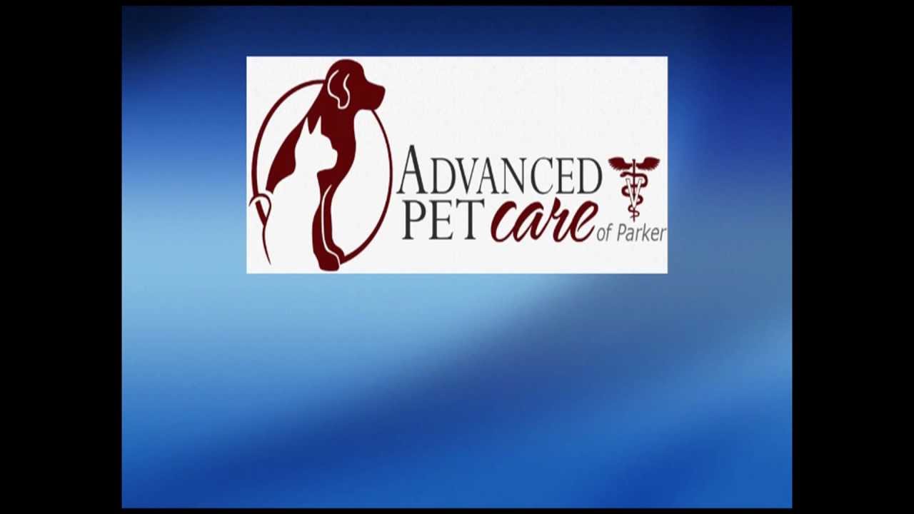 Advanced Pet Care of Parker