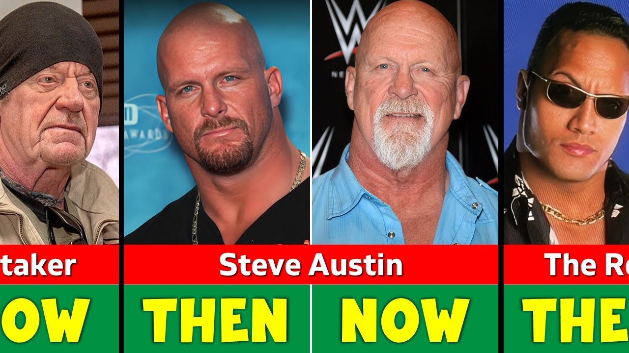 WWE Attitude Era All Wrestlers Then vs Now : Shocking Transformation