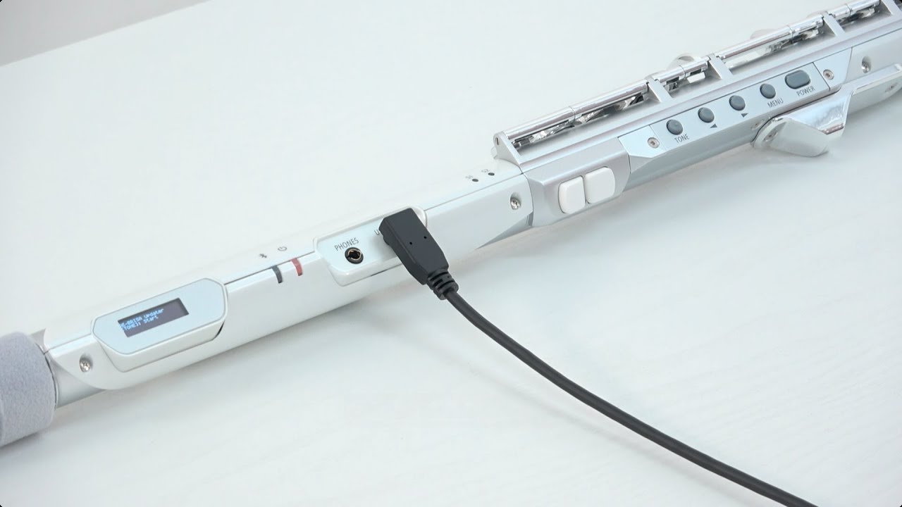 “Checking and updating the version” Roland Aerophone Brisa #11